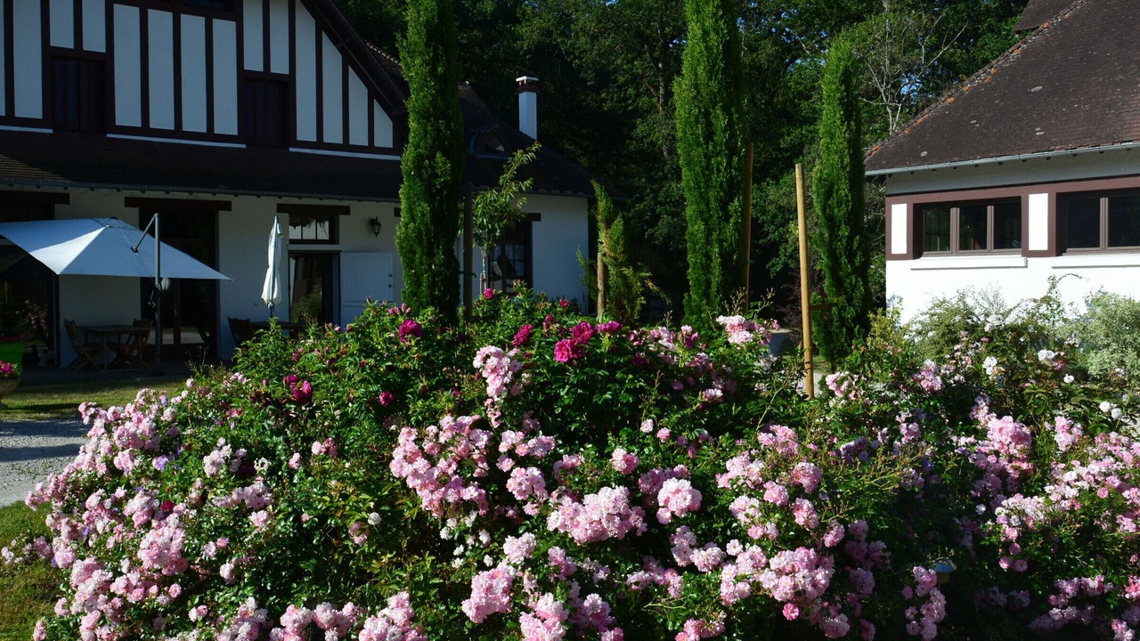 Photo of Outdoor in Ligny-le-Ribault