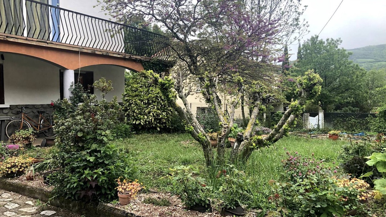 Photo of Outdoor in Prats-de-Mollo-la-Preste