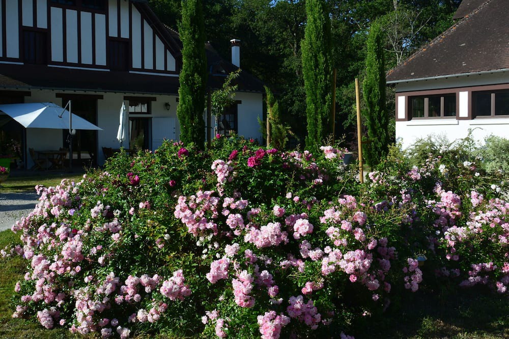 Photo of Outdoor in Ligny-le-Ribault