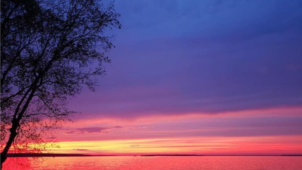 Photo of Others in Port McNicoll
