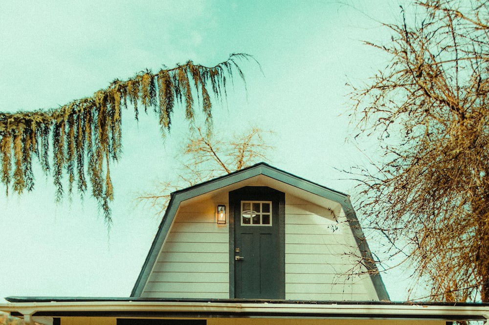 Photo of Outdoor in Arlington