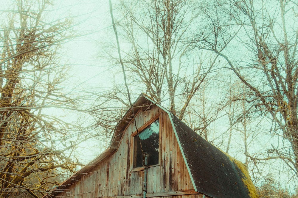 Photo of Outdoor in Arlington