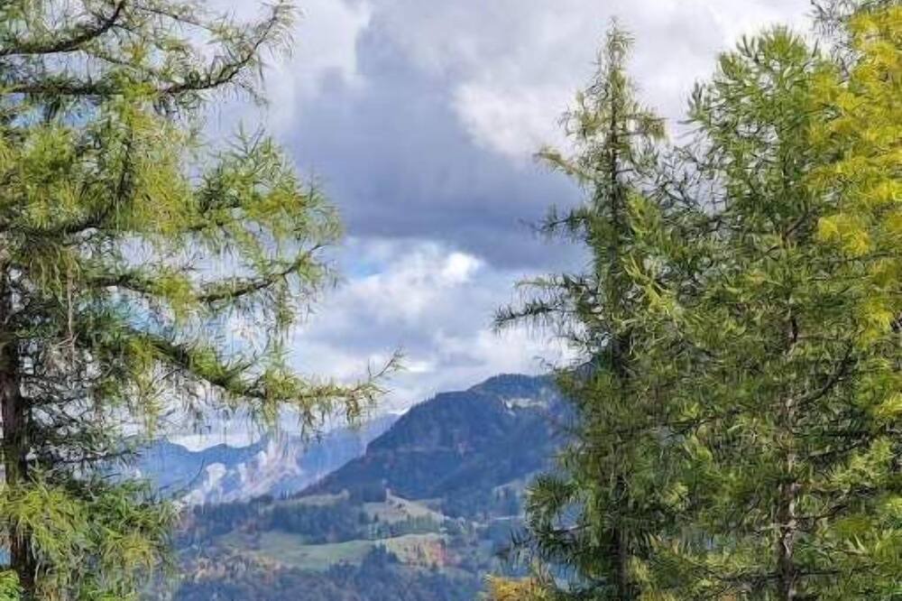 Photo of Others in Leysin