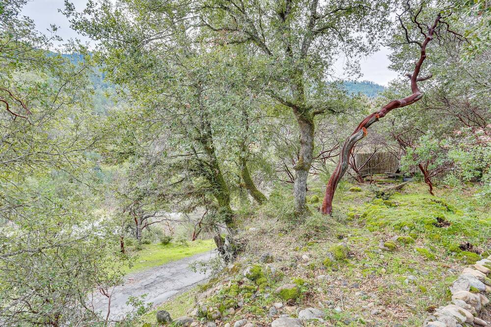 Photo of Others in Trinity Village