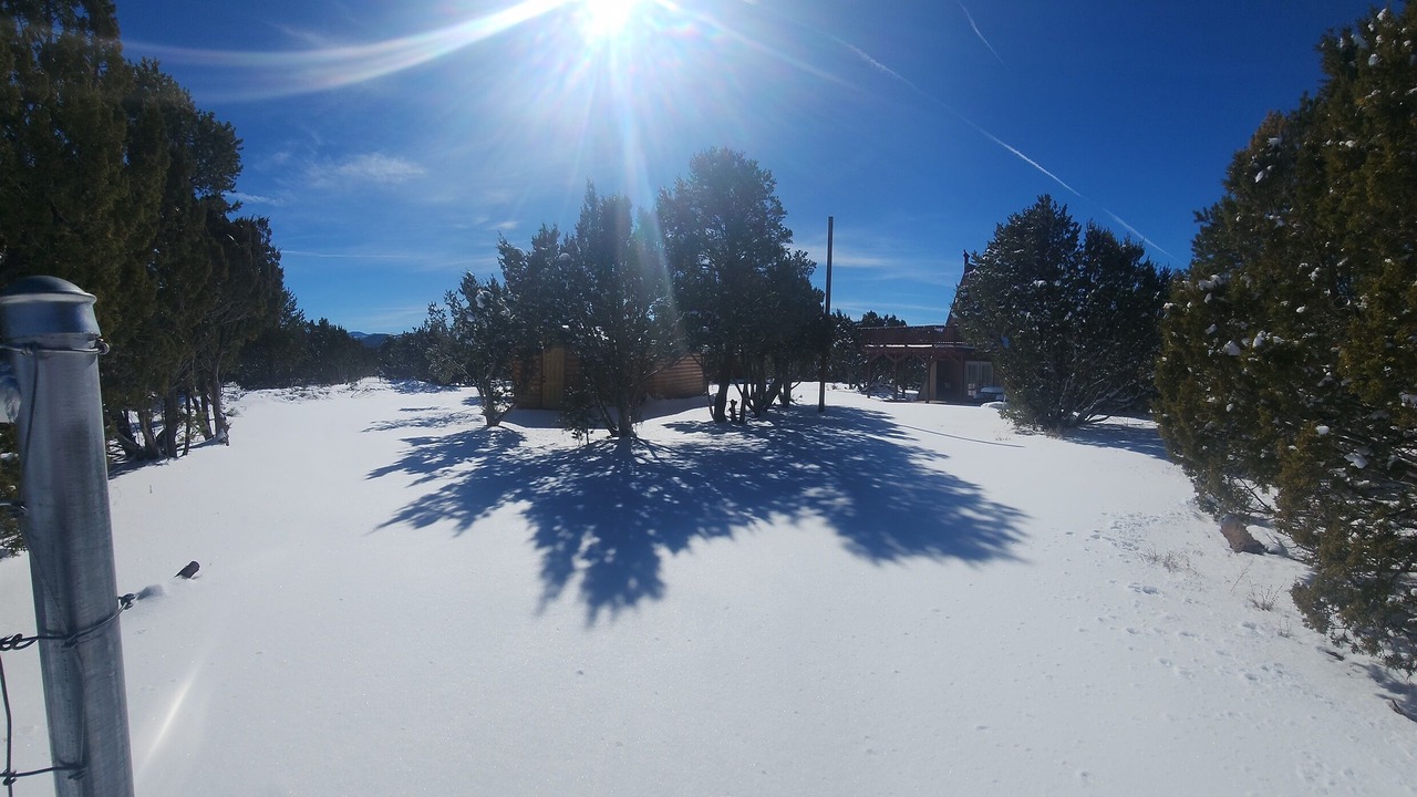 Photo of Others in Concho