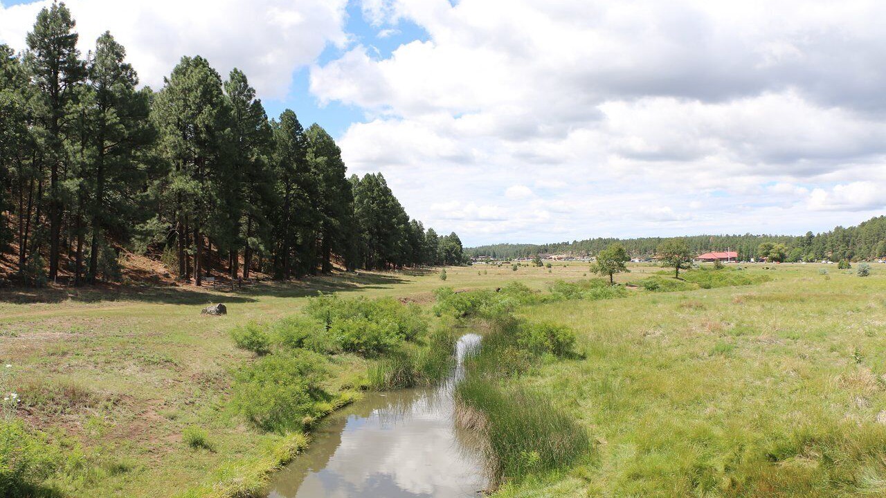 Photo of Others in Concho
