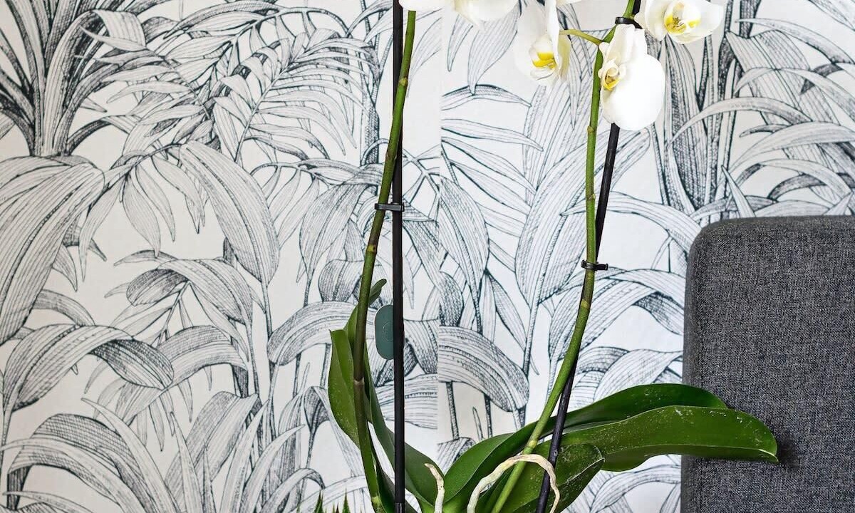 Photo of Others in 9th Arrondissement