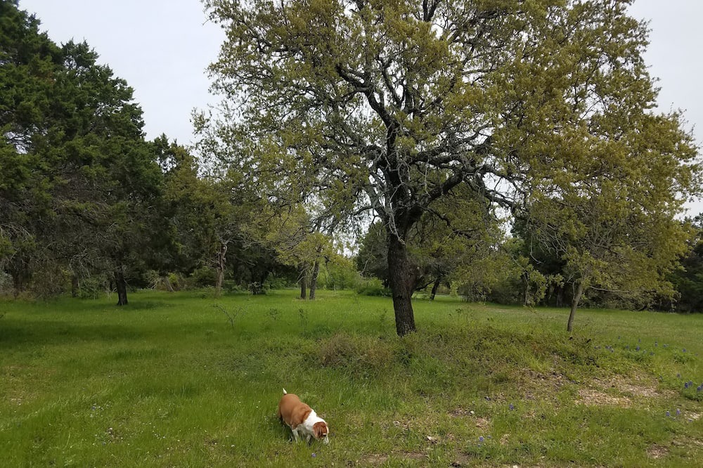 Photo of Outdoor in Moody