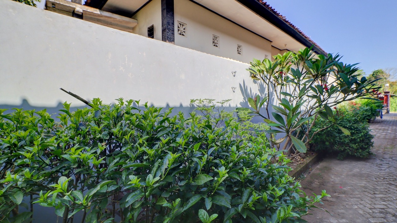 Photo of Outdoor in Tua
