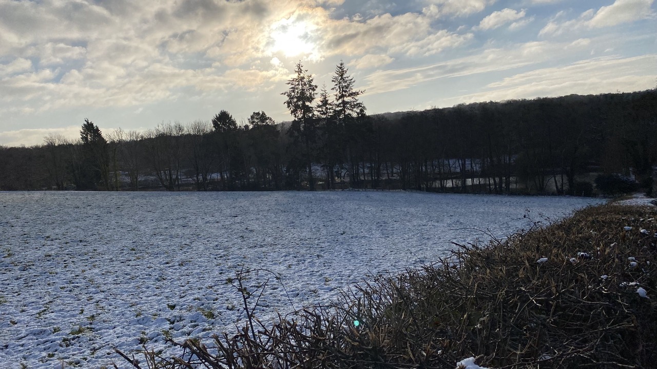 Photo of Others in Worth