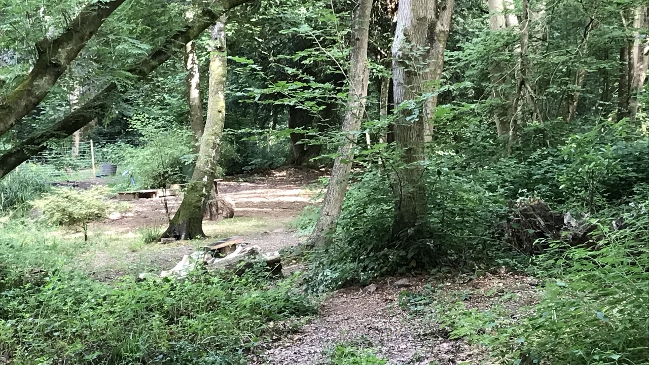 Photo of Others in Worth