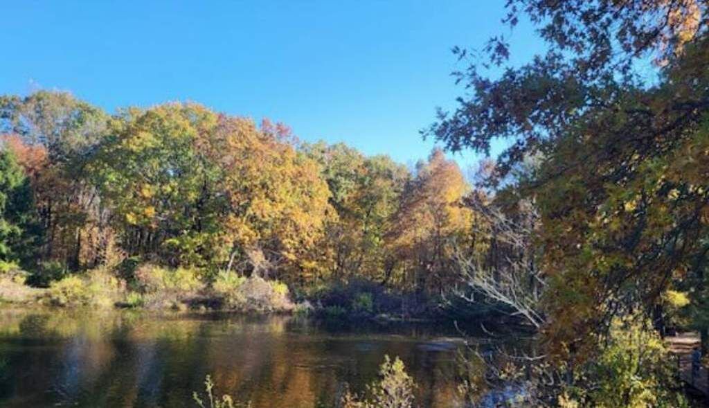 Photo of Others in Fairlawn