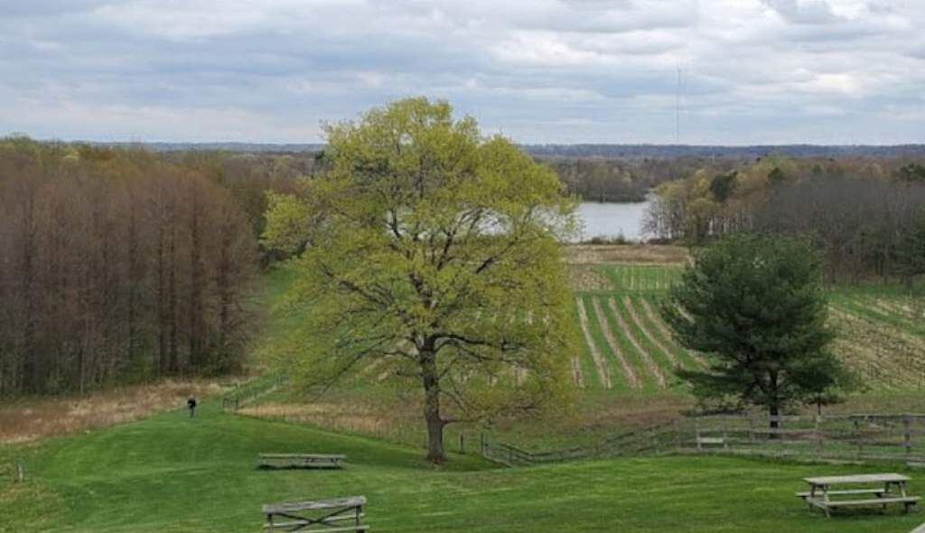 Photo of Others in Fairlawn