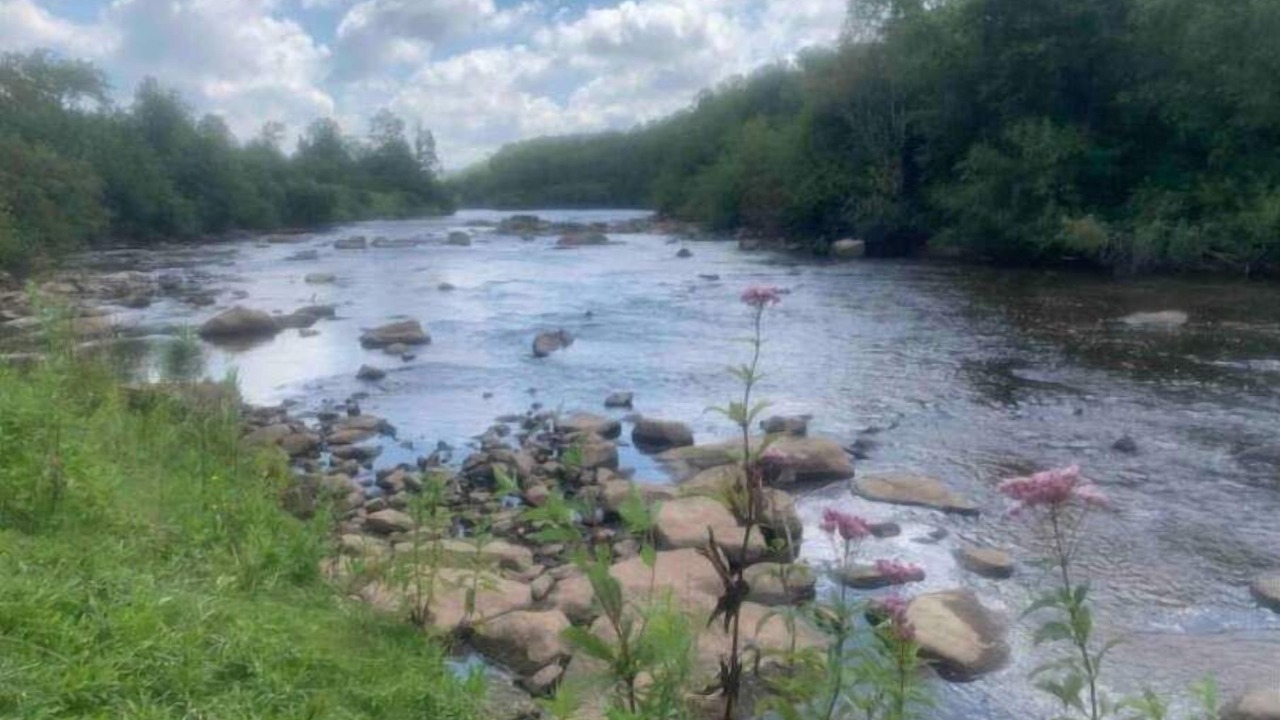 Photo of Others in Canaan Valley