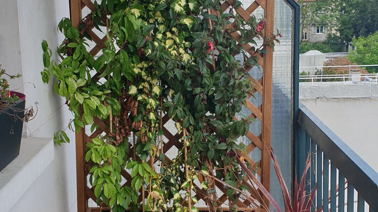 Photo of Outdoor in Montrouge