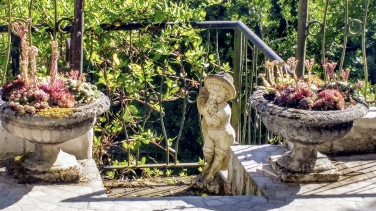 Photo of Outdoor in Aubeterre-sur-Dronne