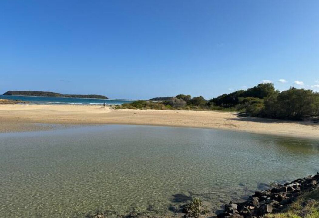 Photo of Others in Mossy Point