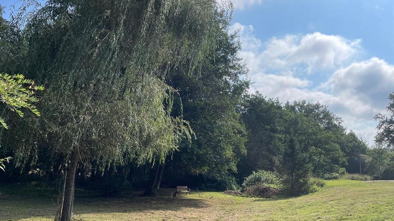 Photo of Outdoor in Saint-Pierre-de-Frugie
