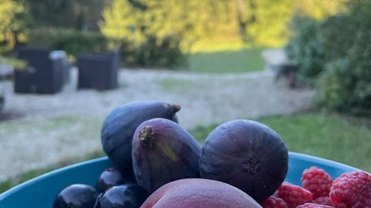 Photo of Outdoor in Saint-Pierre-de-Frugie