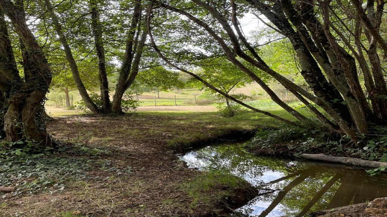 Photo of Outdoor in Saint-Pierre-de-Frugie