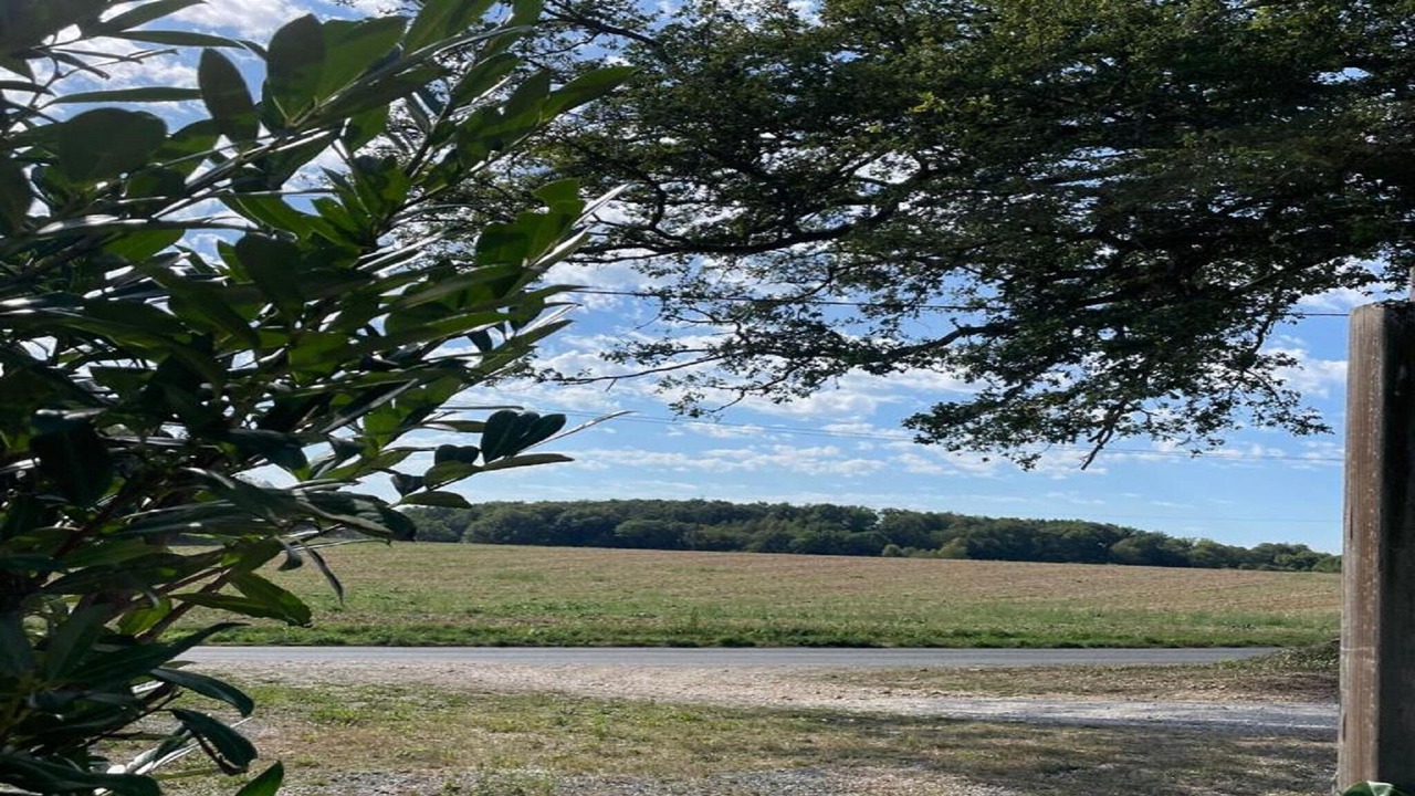 Photo of Others in Saint-Pierre-de-Frugie