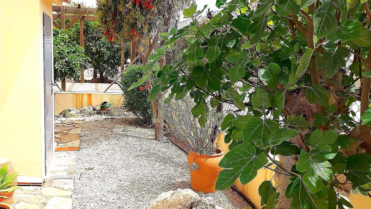 Photo of Outdoor in Rafol de Almunia