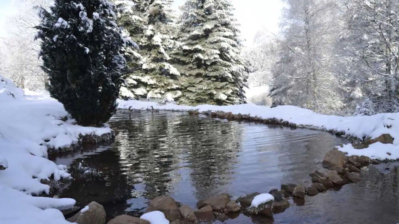 Photo of Outdoor in Wangenbourg-Engenthal