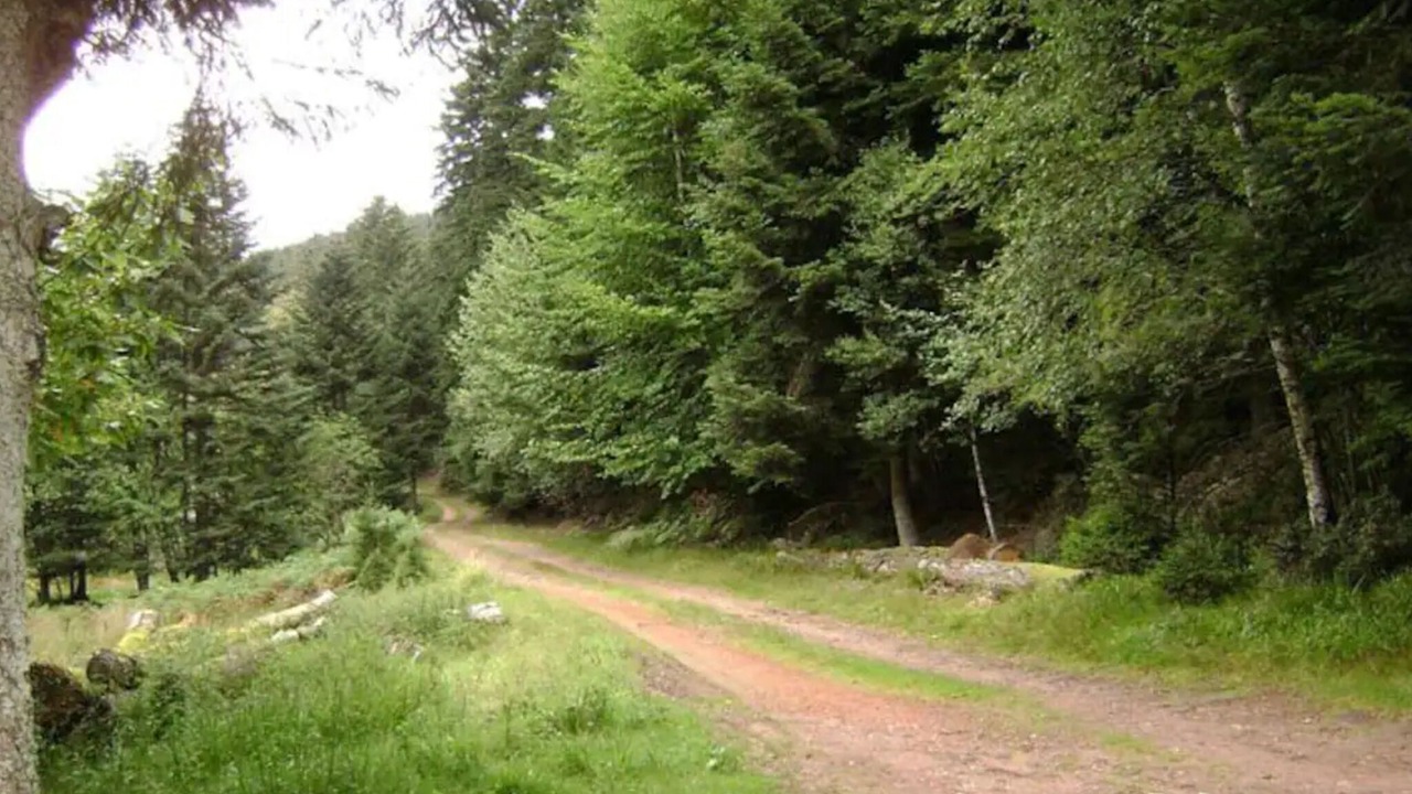 Photo of Outdoor in Wangenbourg-Engenthal