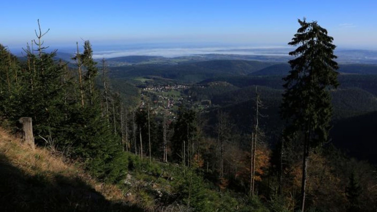 Photo of Others in Wangenbourg-Engenthal