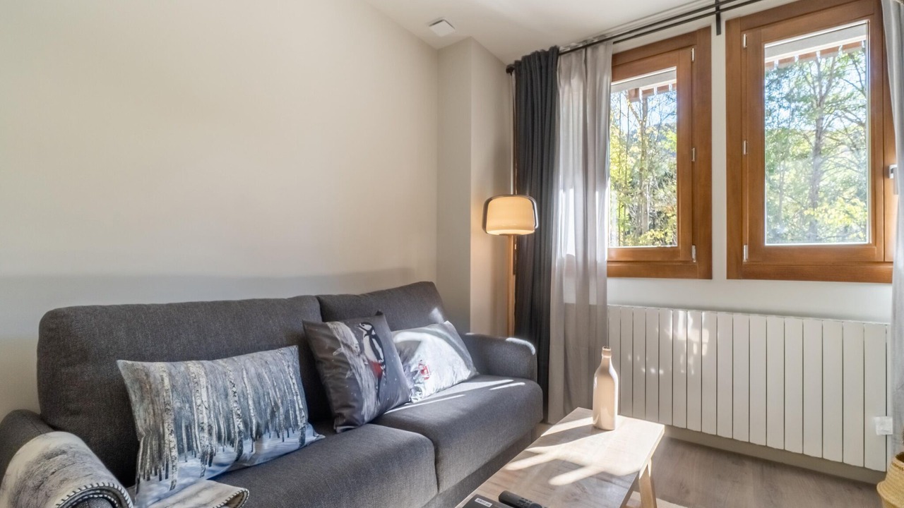 Photo of Livingroom in Benasque