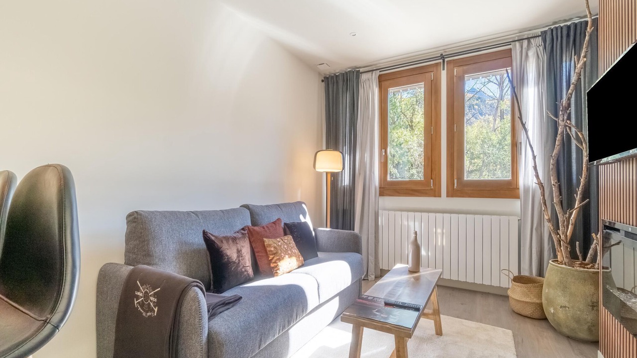 Photo of Livingroom in Benasque