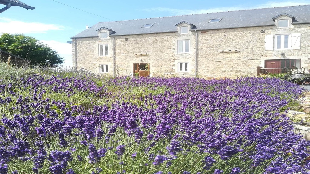 Photo of Outdoor in Sainte-Marguerite-d'Elle