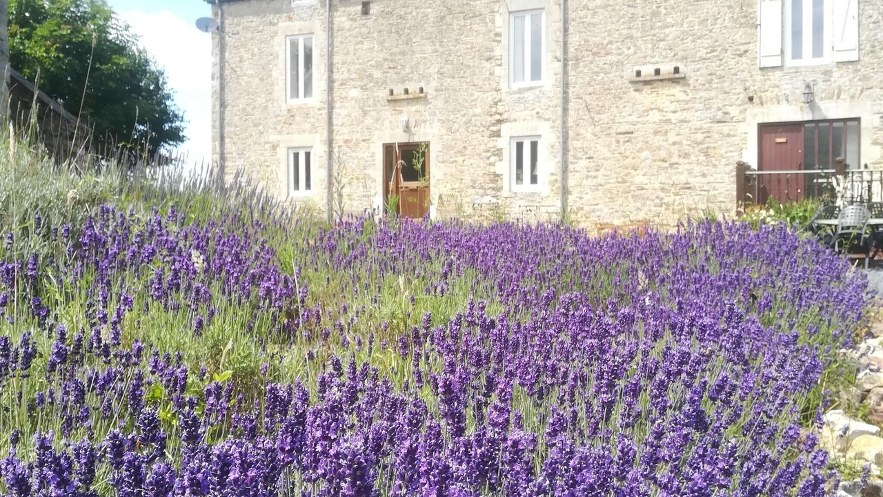 Photo of Outdoor in Sainte-Marguerite-d'Elle