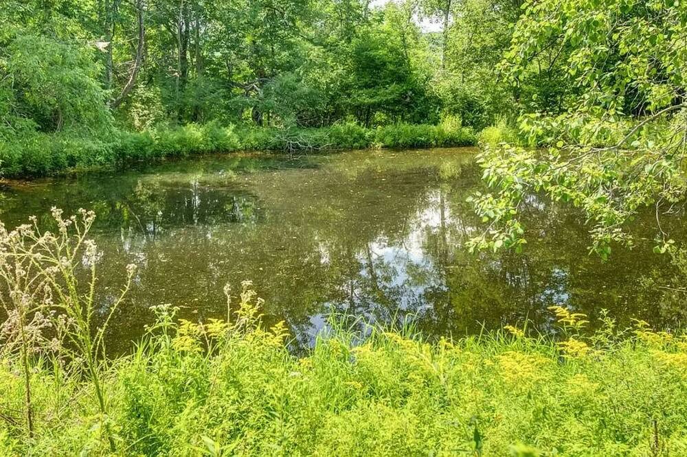 Photo of Outdoor in De Lancey