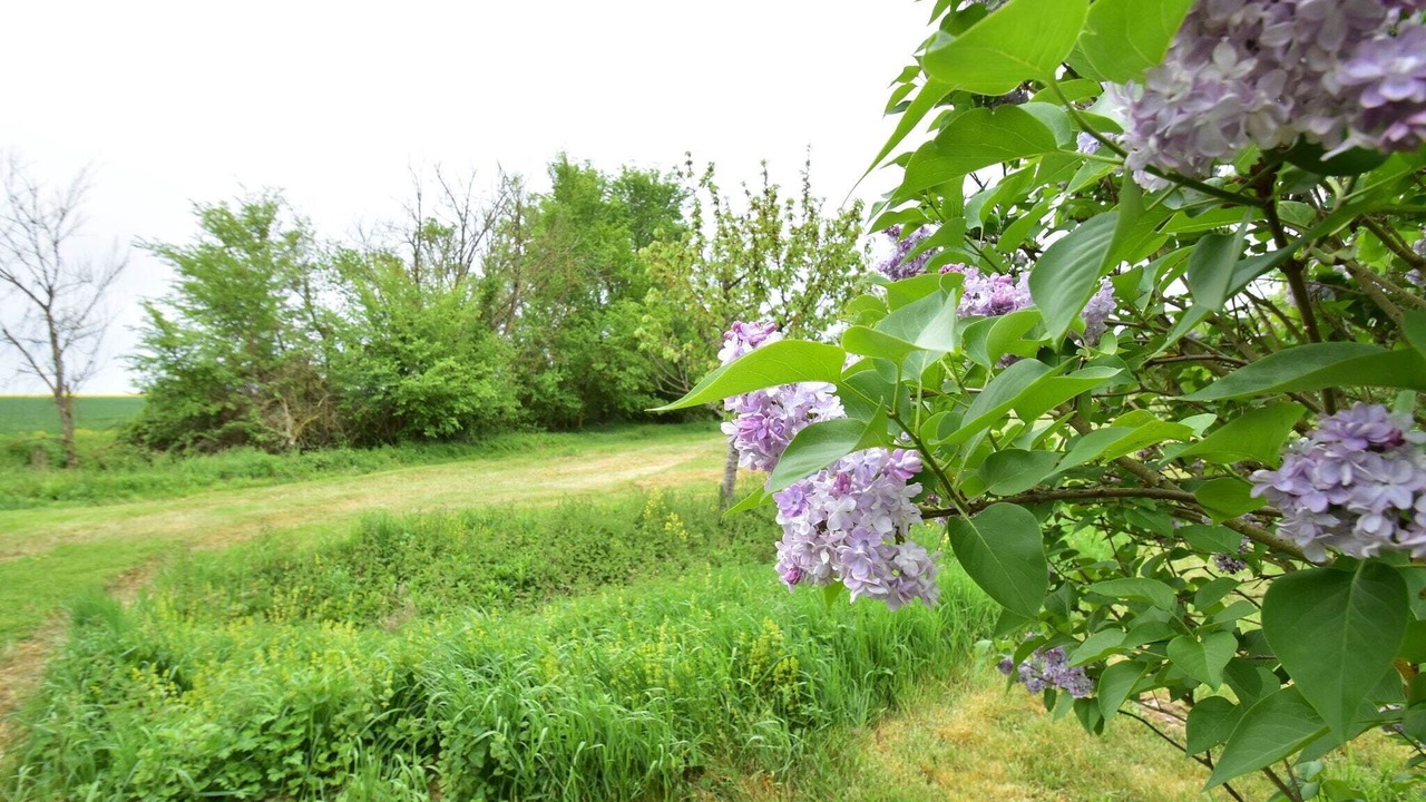 Photo of Outdoor in Giroux