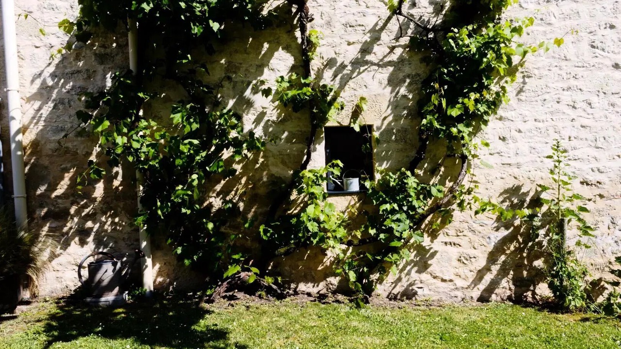 Photo of Outdoor in Yssandon