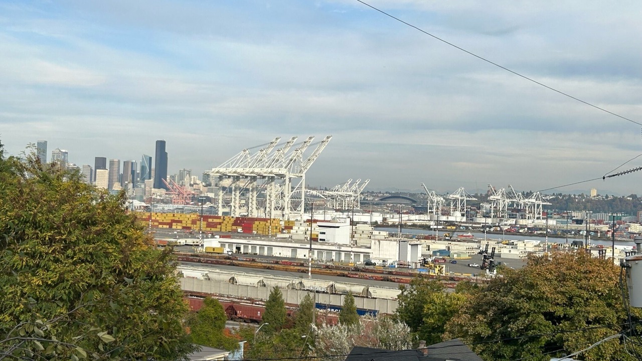 Photo of Others in North Admiral