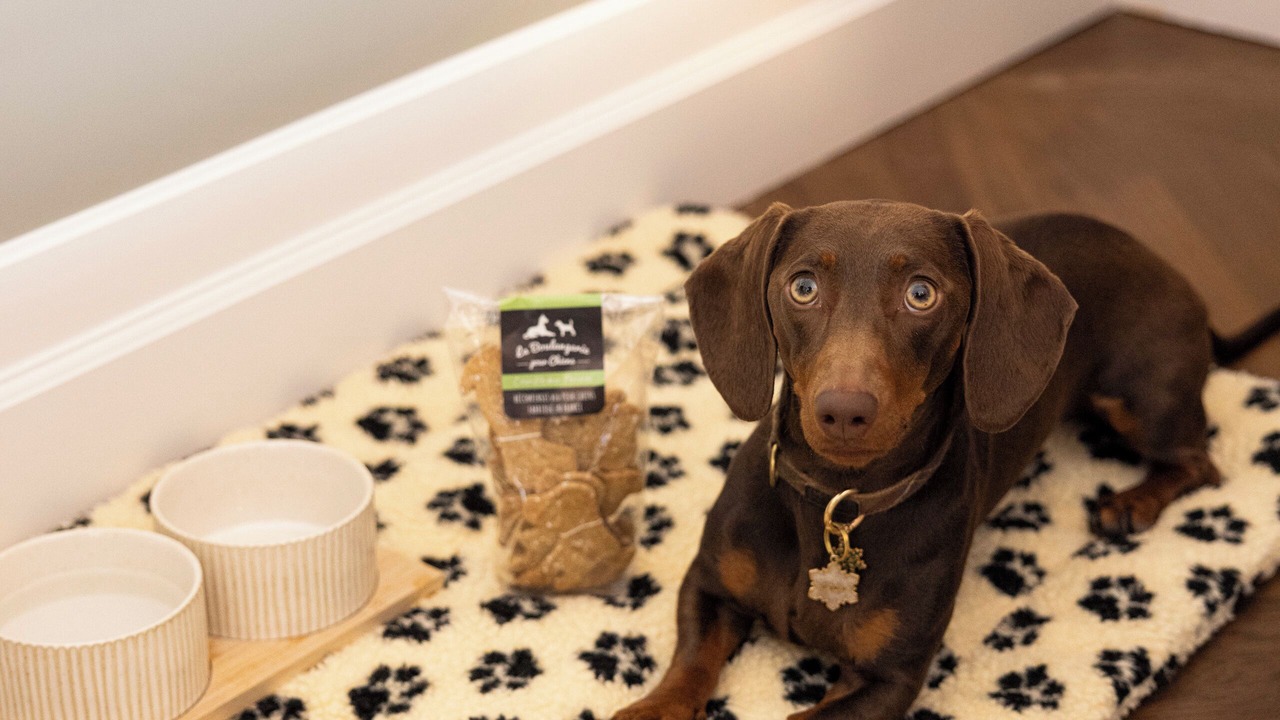 Photo of Others in Notre-Dame