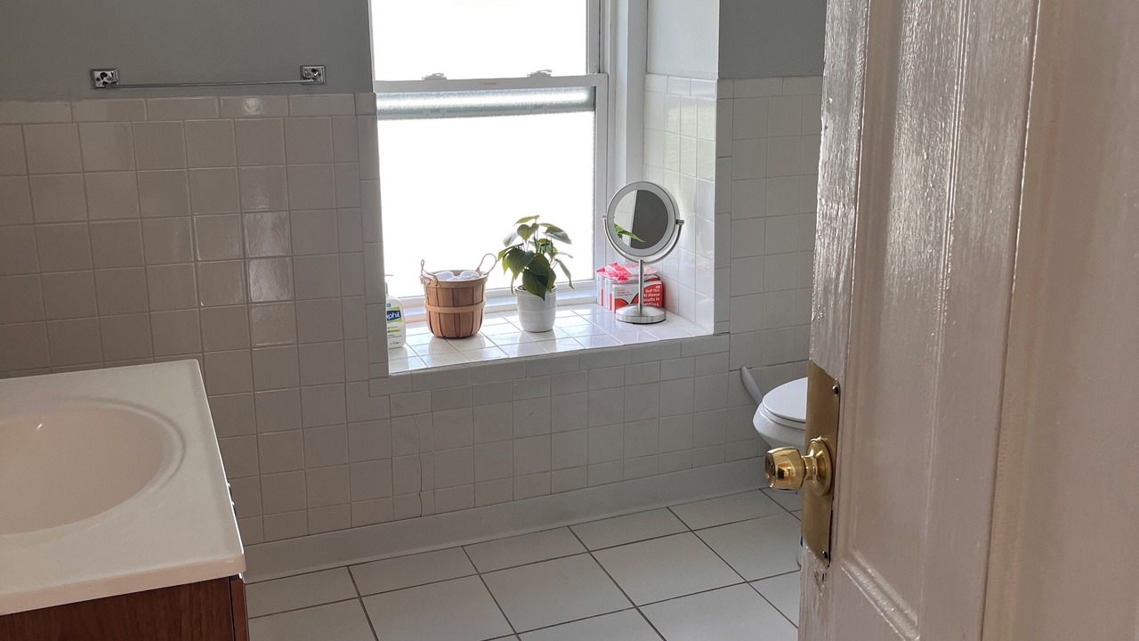 Photo of Others in Dudley Square