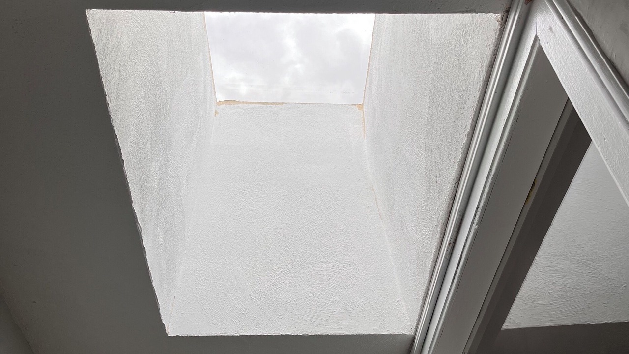 Photo of Others in Dudley Square