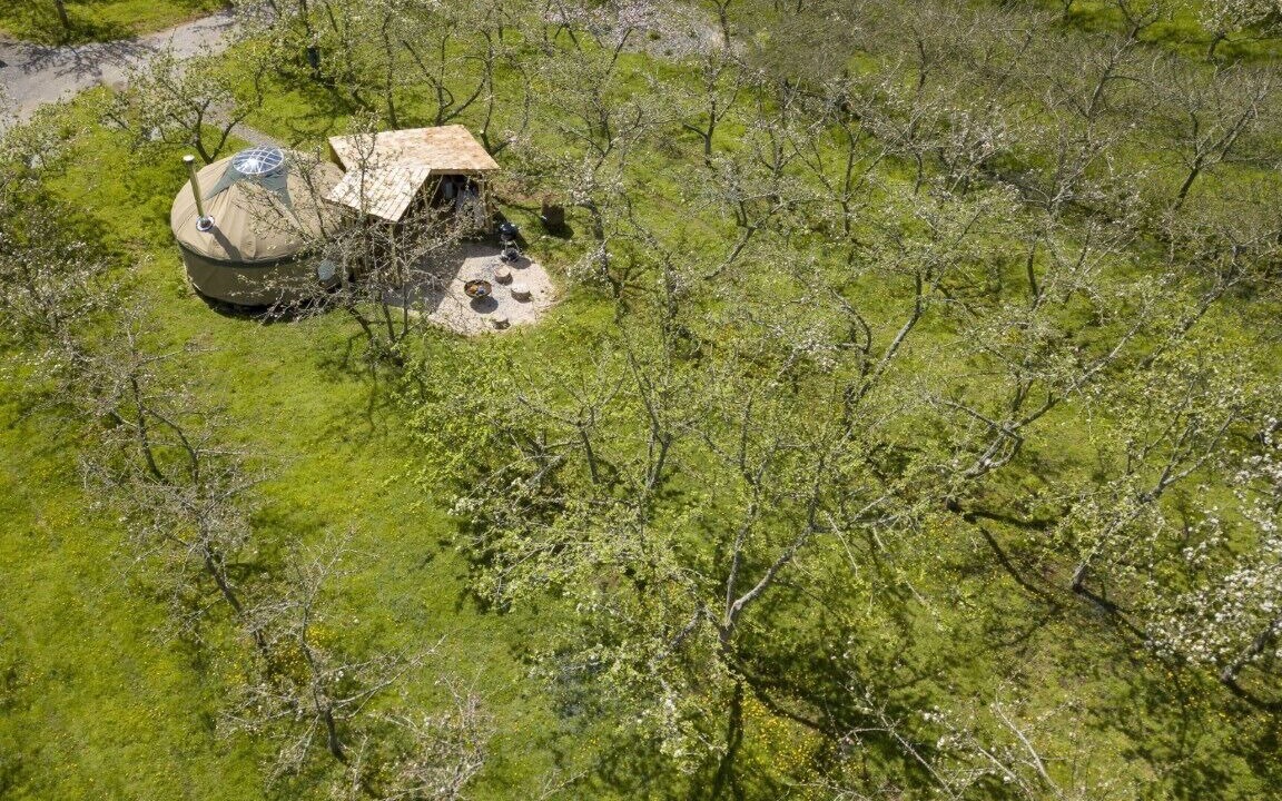 Photo of Others in Watchet