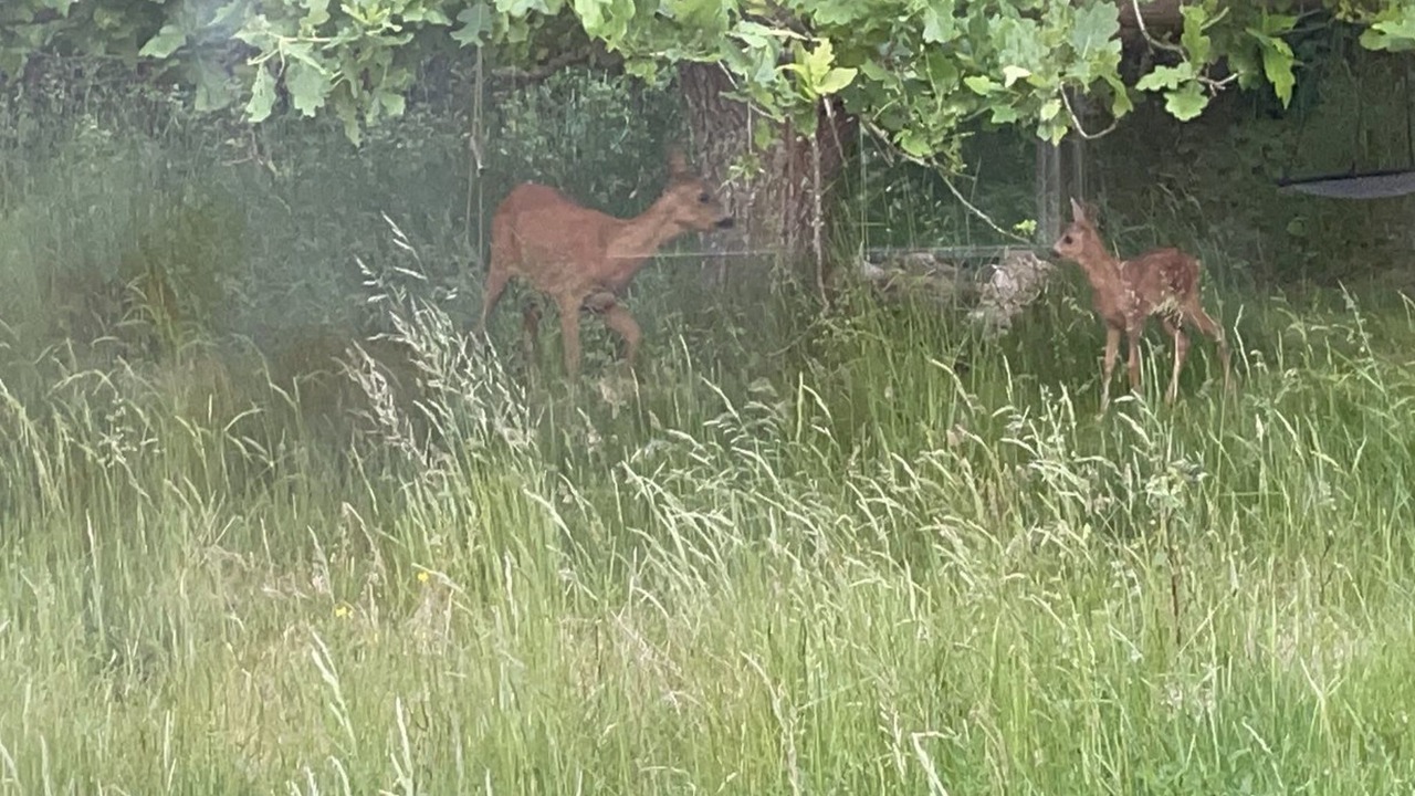 Photo of Others in Skallerup Klit