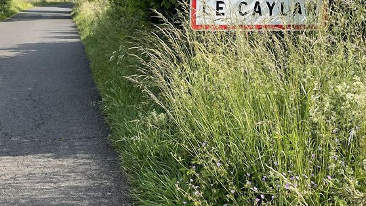 Photo of Outdoor in Le Caylar