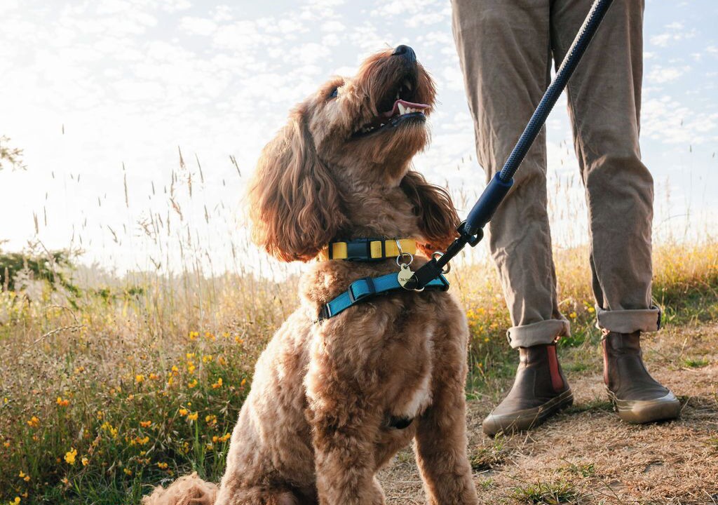 Photo of Others in Pescadero