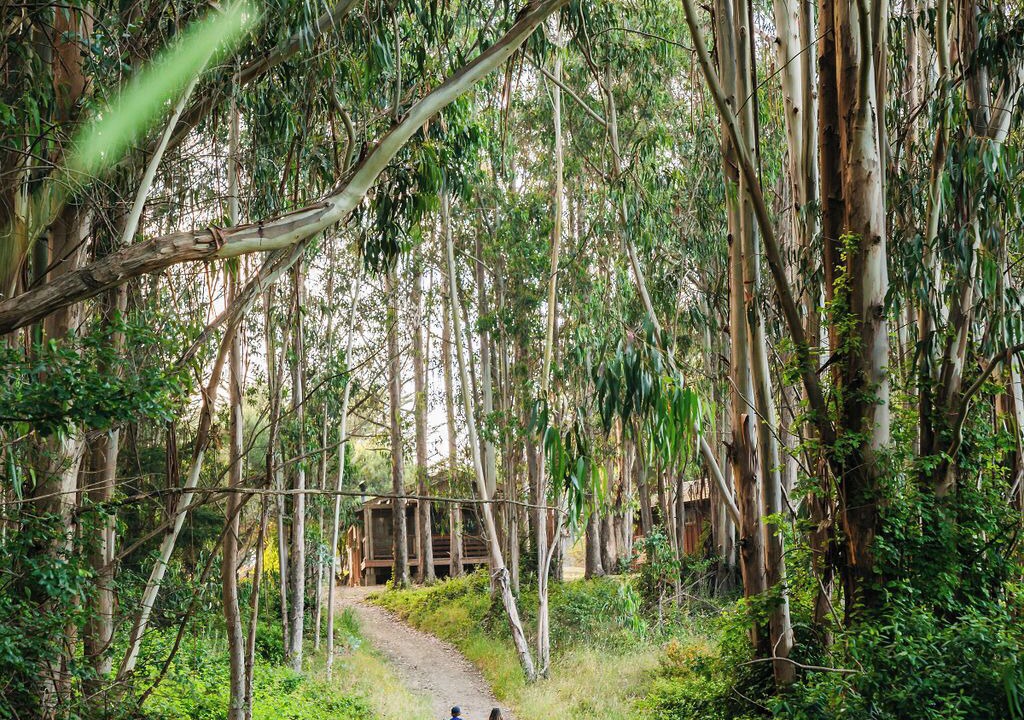 Photo of Outdoor in Pescadero