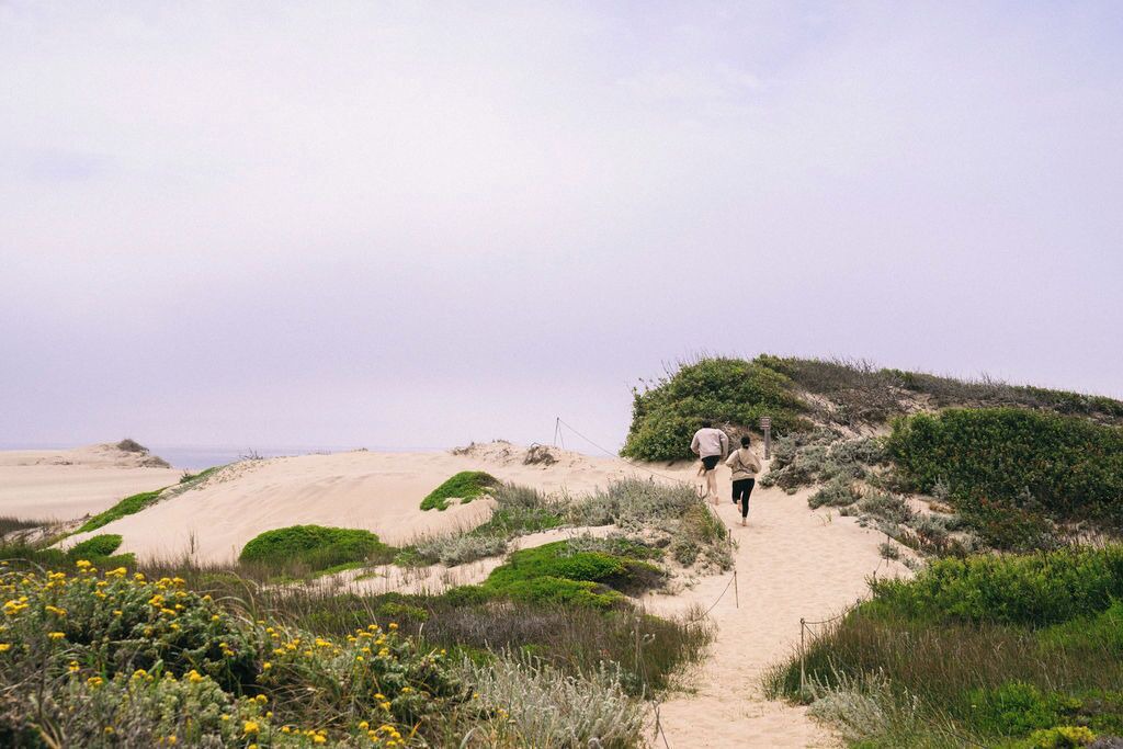 Photo of Others in Pescadero