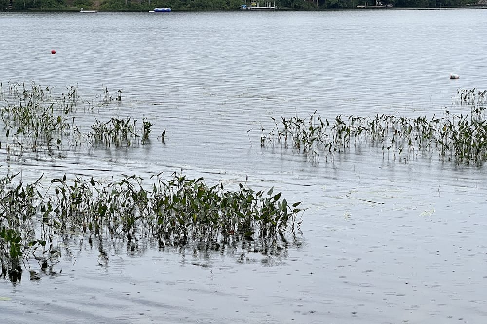 Photo of Others in Denmark