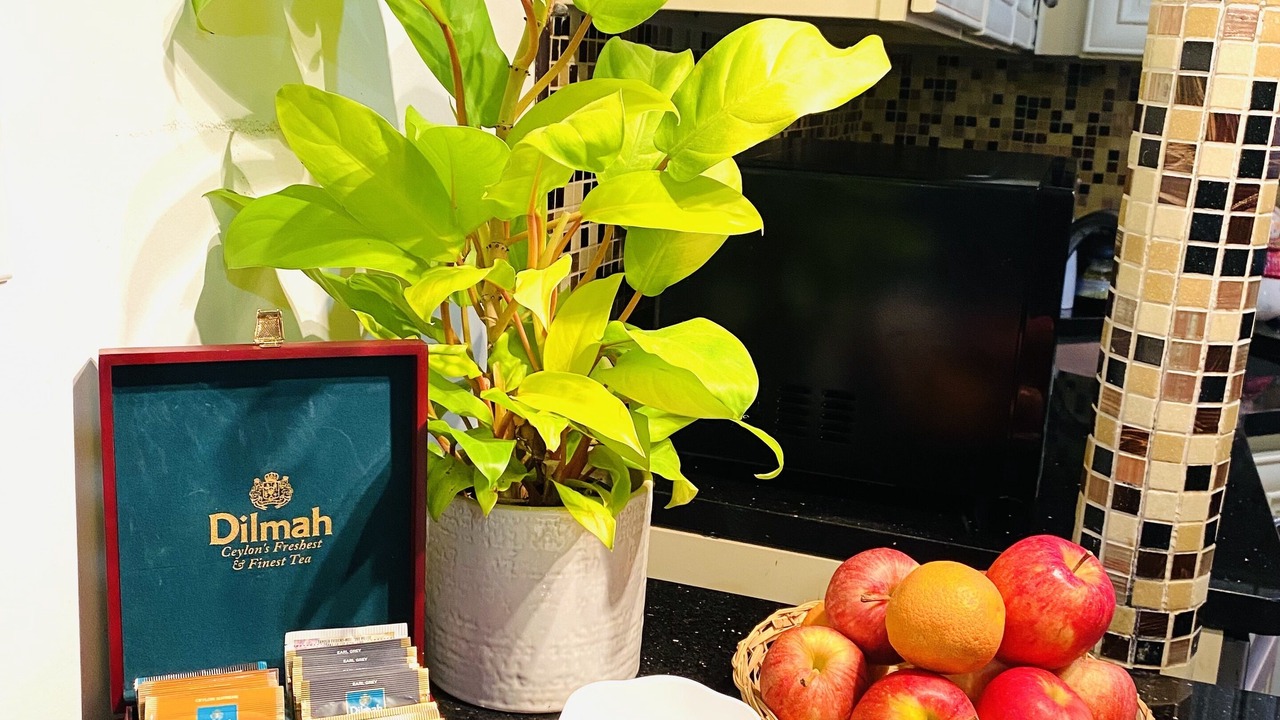 Photo of Others in Queens