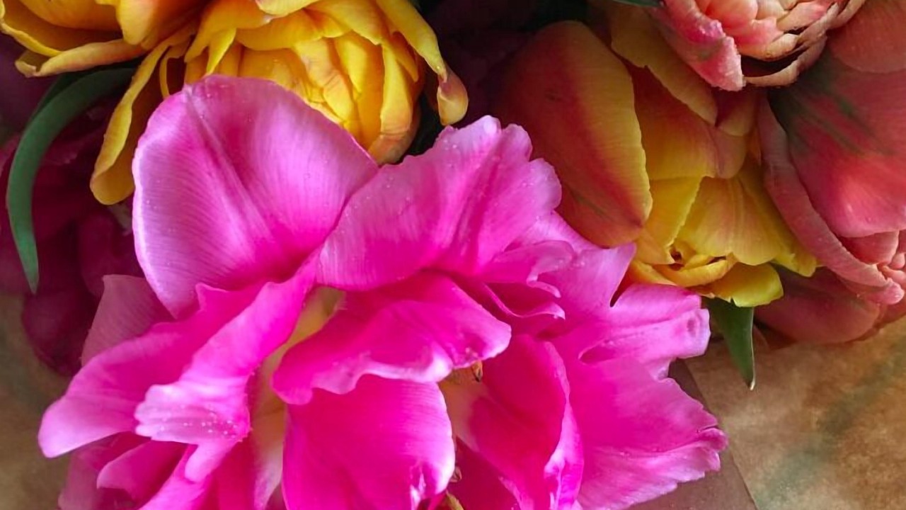 Photo of Others in Kennebunk