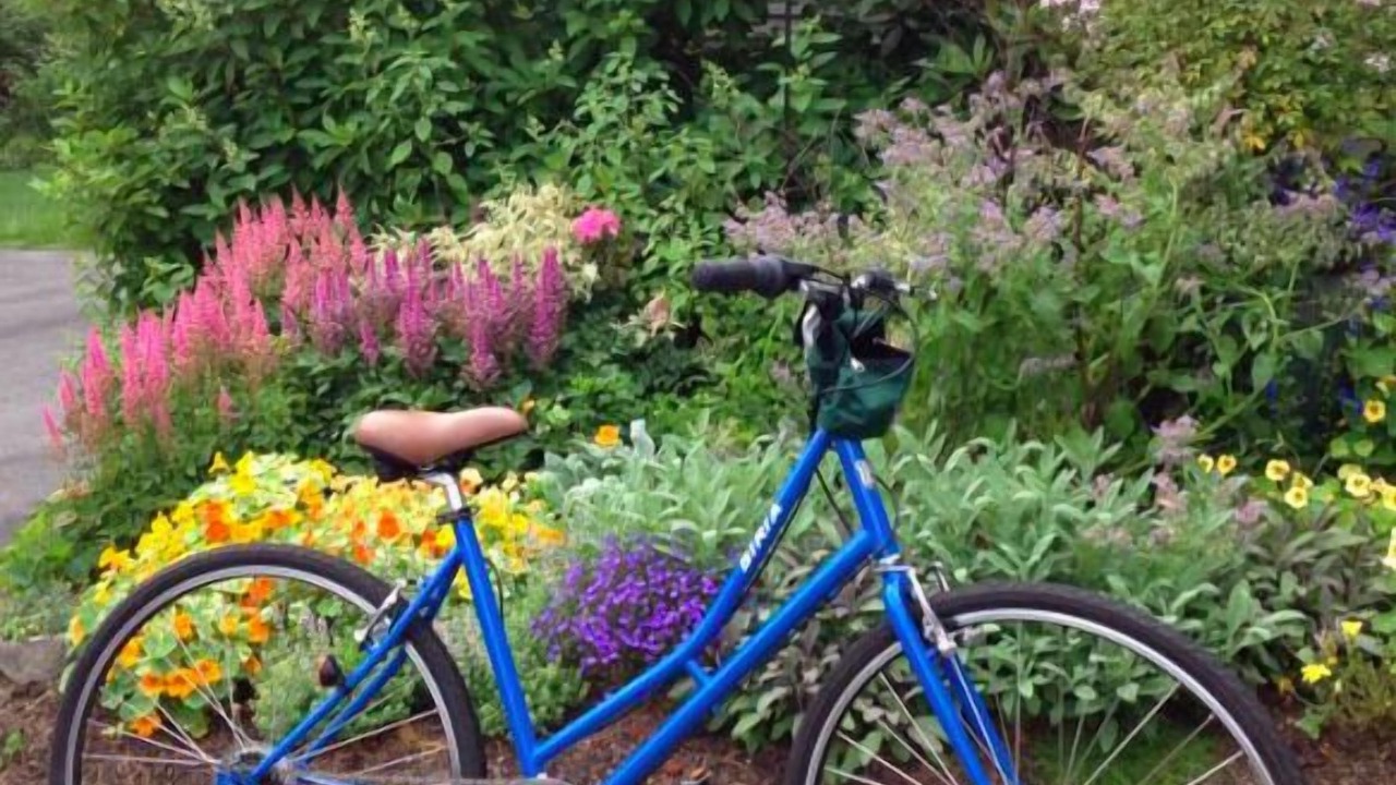 Photo of Outdoor in Kennebunk